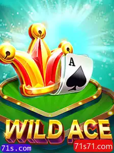 Desvendando o Fascinante Mundo de WildAce: Regras, Estratégias e Mais